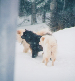 Mom Dad and Me in The Snow