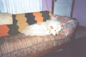 Resting In My Favorite Spot