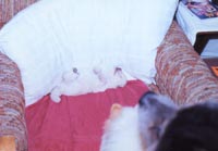 Mom watching me Sleep